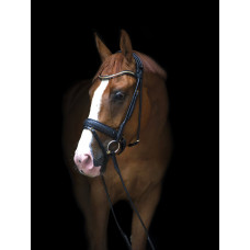 Вуздечка Olympic від Utzon Equestrian