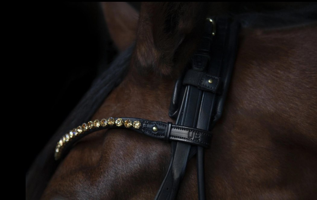 Налобний ремінь Elegant Clear від Utzon Equestrian