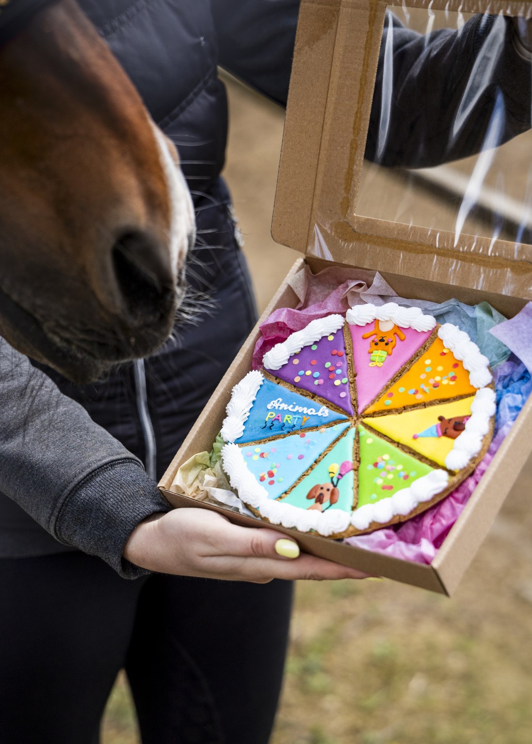 Печиво з глазур"ю Birthday Tart від Candy Horse
