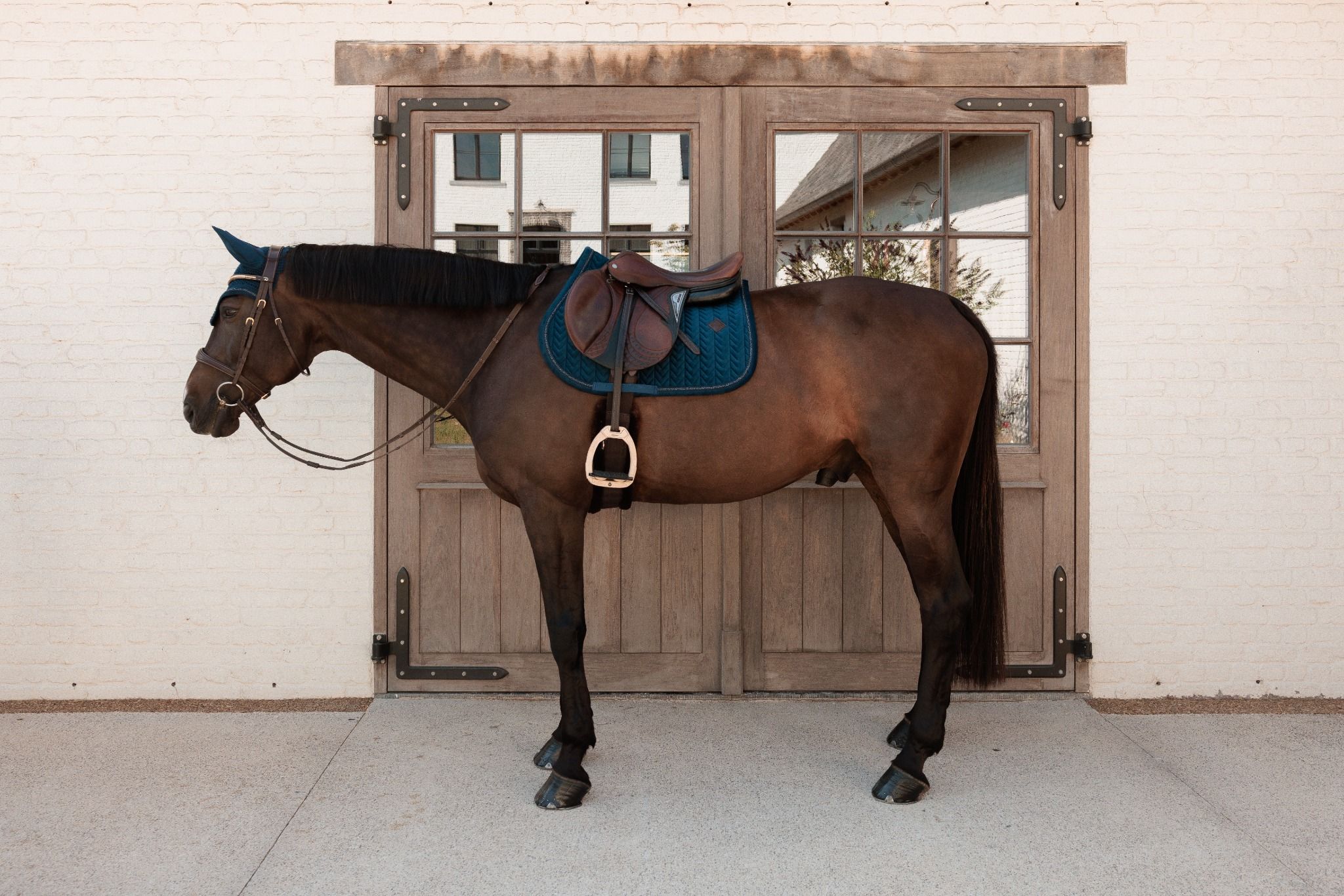 Вальтрап конкурный Velvet Mini Pearls от Kentucky Horsewear
