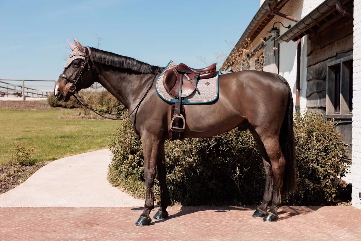 Вальтрап конкурный Pied-de-Poule от Kentucky Horsewear