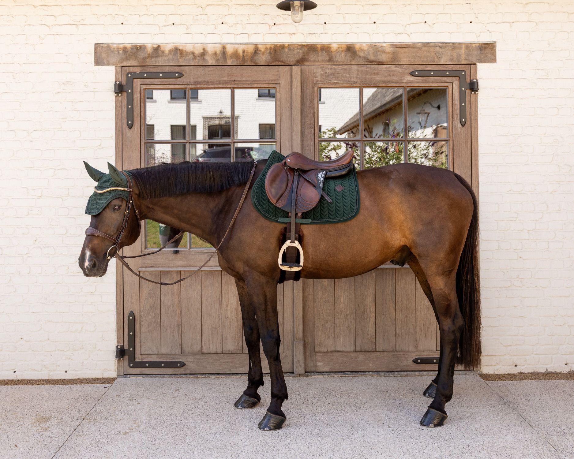 Вальтрап конкурный Velvet Mini Pearls от Kentucky Horsewear