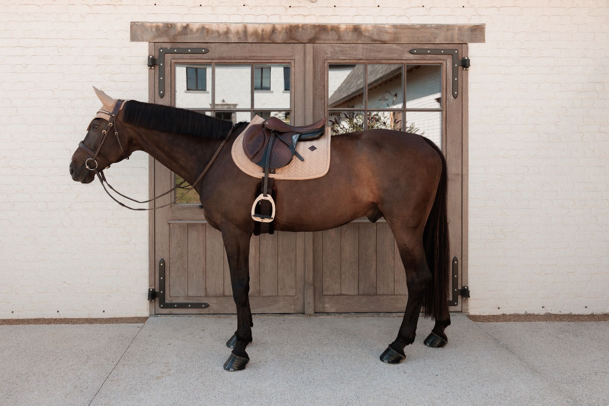 Вальтрап конкурный Velvet Mini Pearls от Kentucky Horsewear
