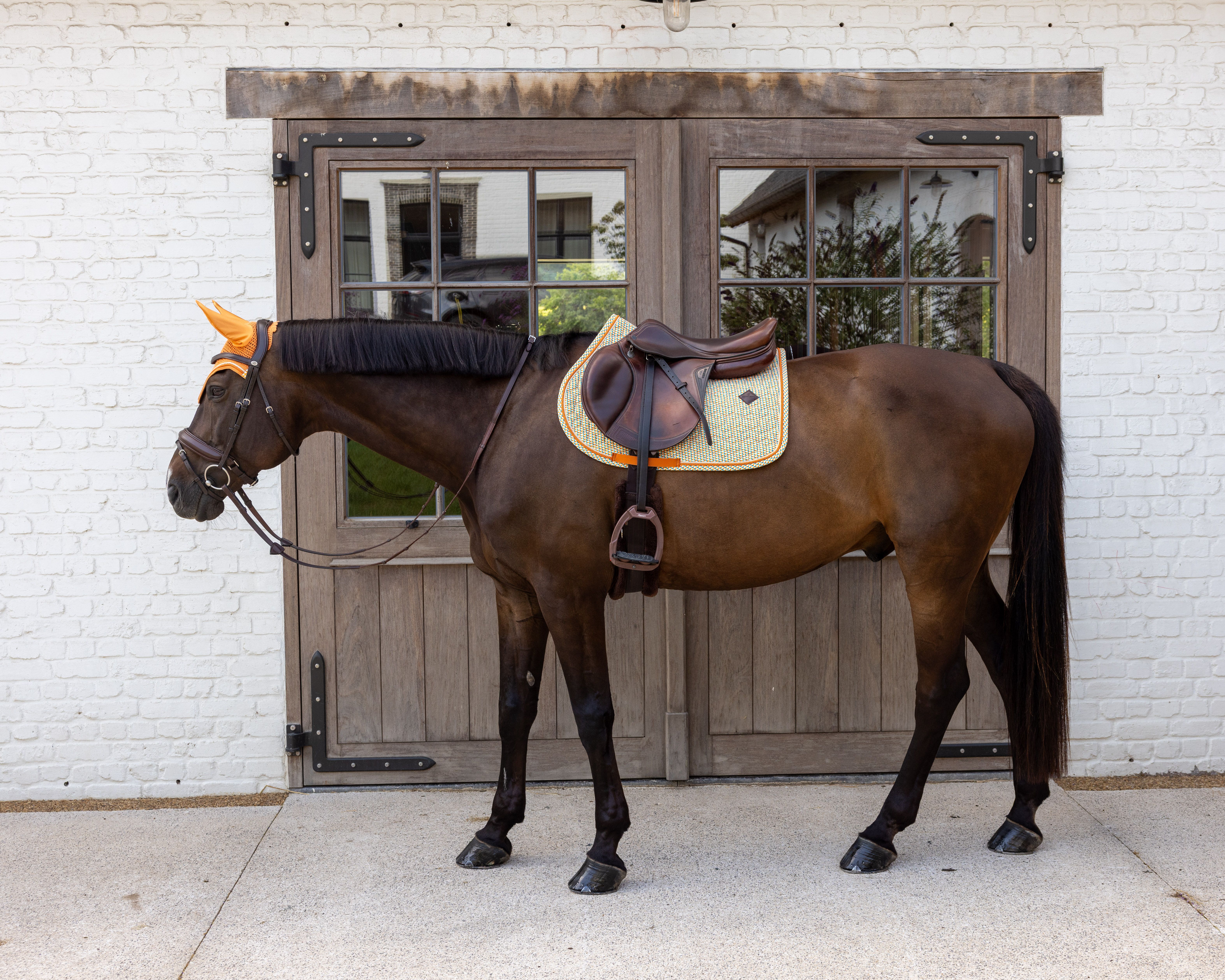 Вальтрап конкурный Velvet Printing от Kentucky Horsewear