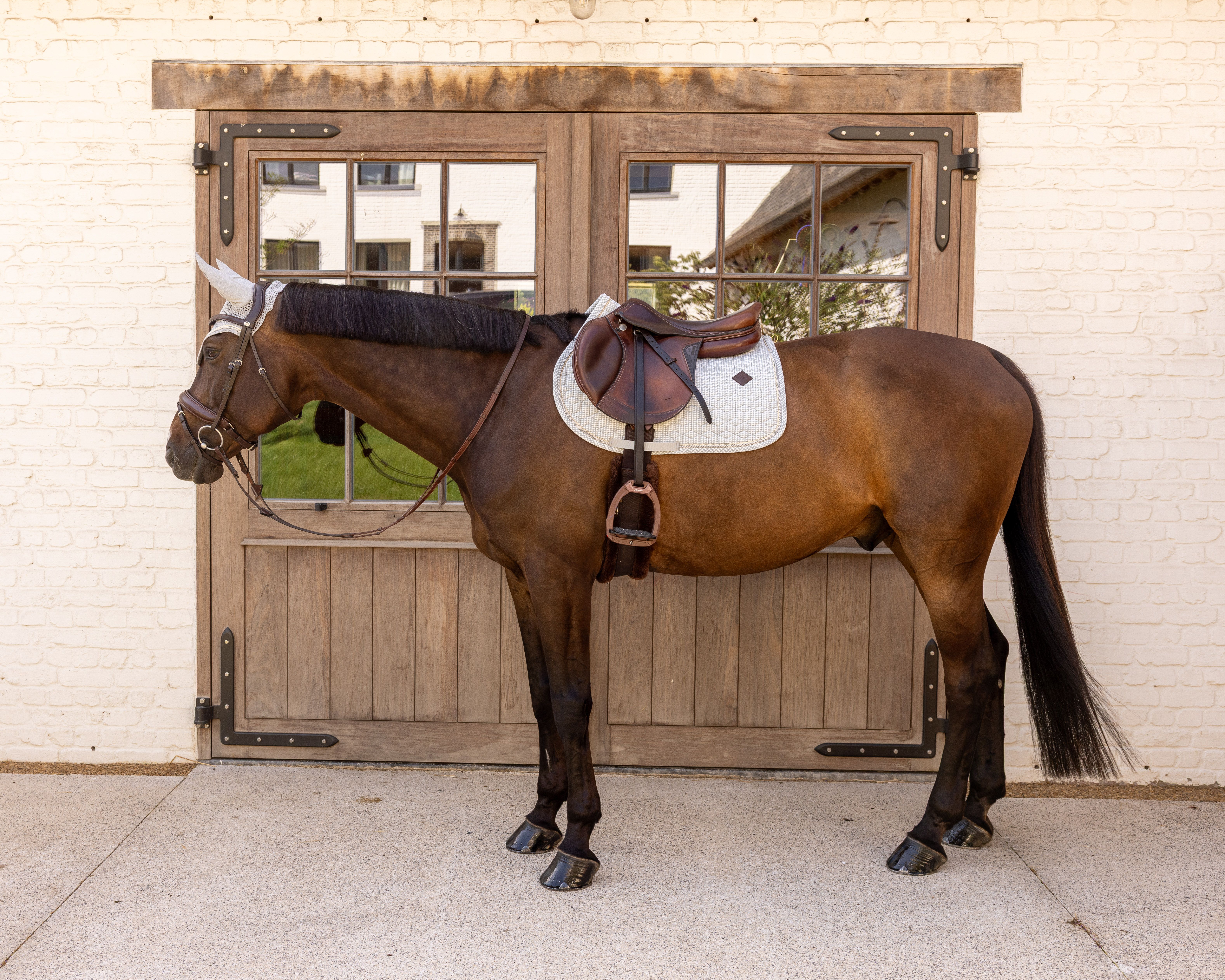 Вальтрап конкурный Velvet Printing от Kentucky Horsewear
