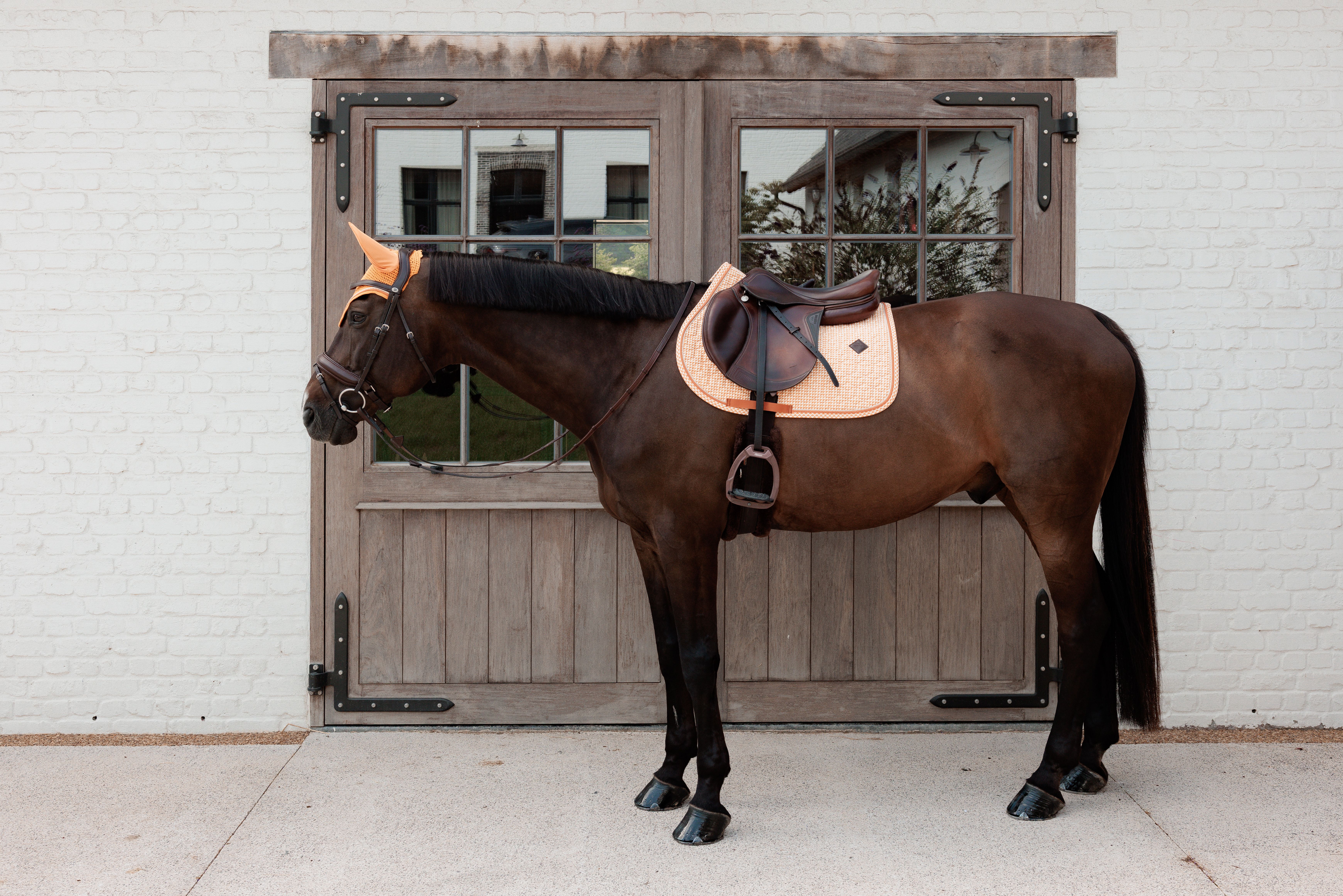 Вальтрап конкурный Velvet Printing от Kentucky Horsewear