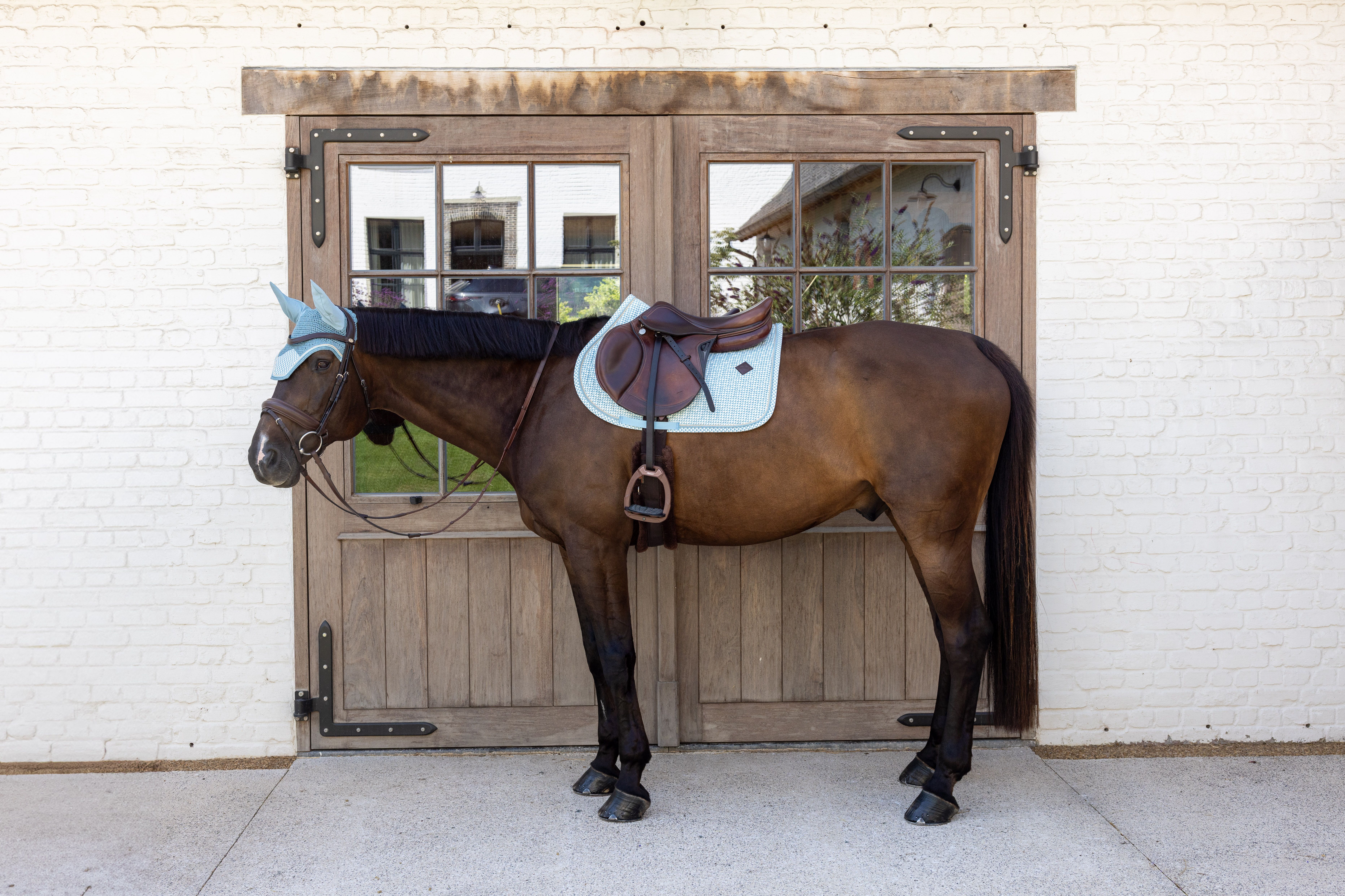 Вальтрап конкурный Velvet Printing от Kentucky Horsewear