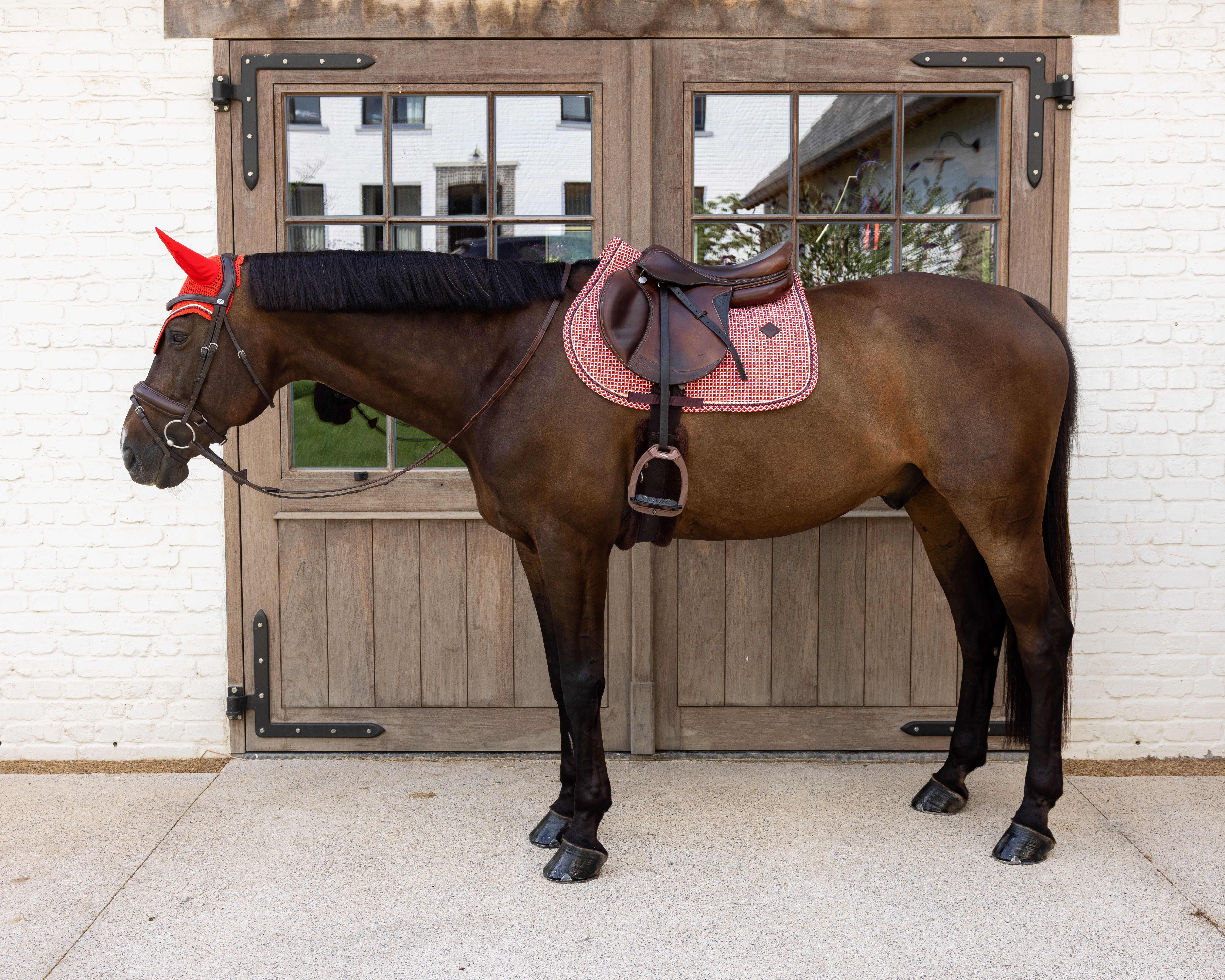 Вальтрап конкурный Velvet Printing от Kentucky Horsewear