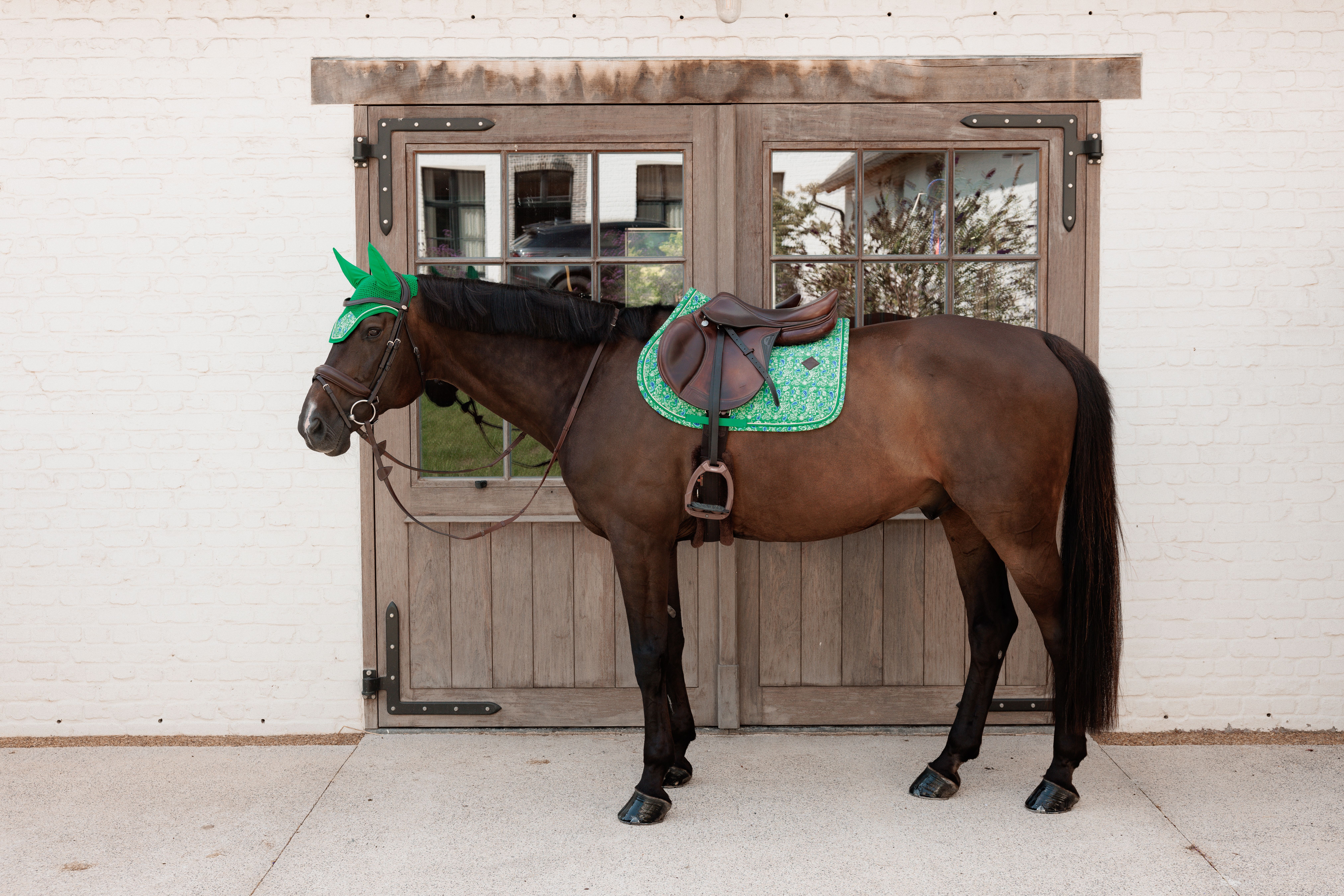 Вальтрап конкурный Velvet Printing от Kentucky Horsewear