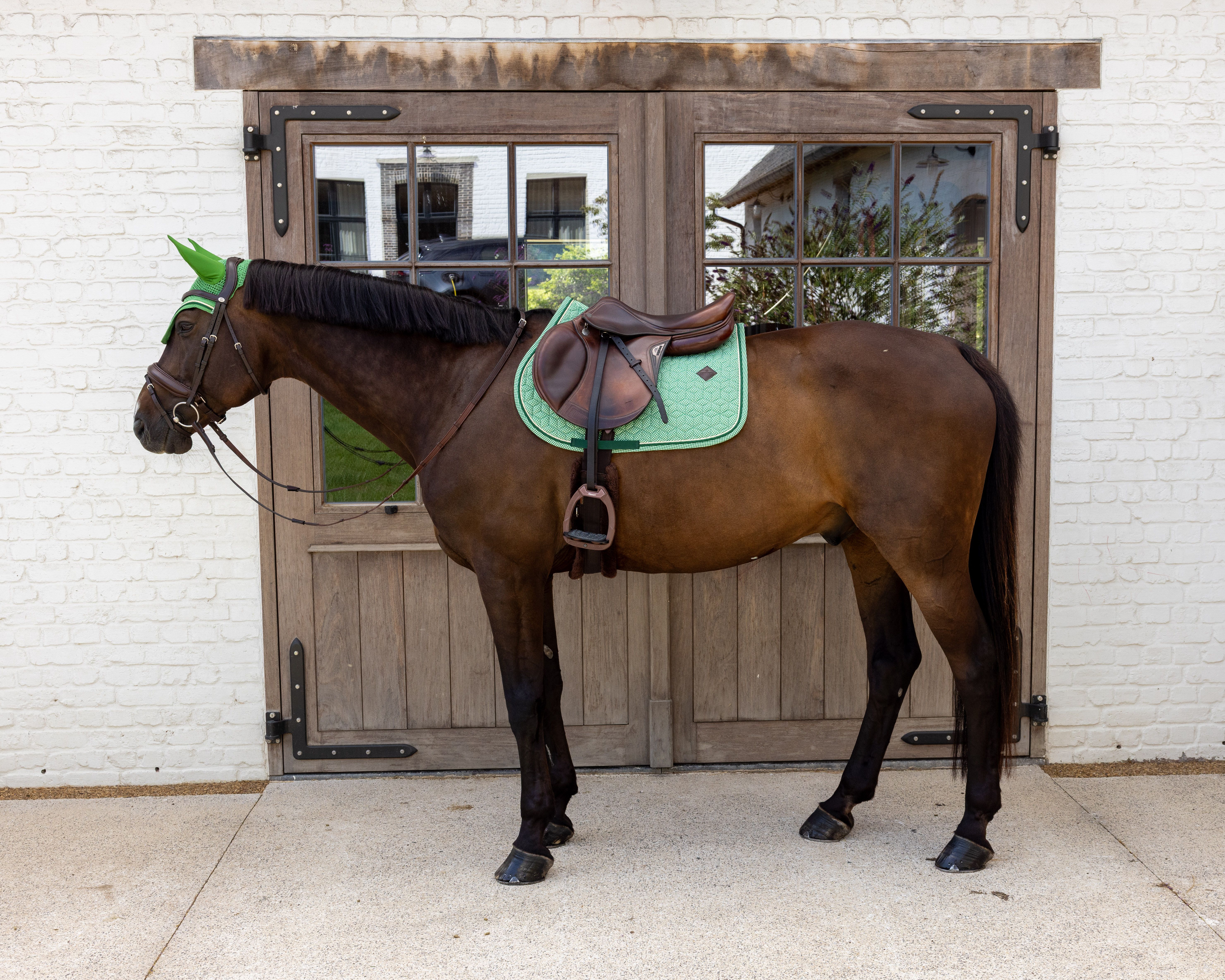 Вальтрап конкурный Velvet Printing от Kentucky Horsewear