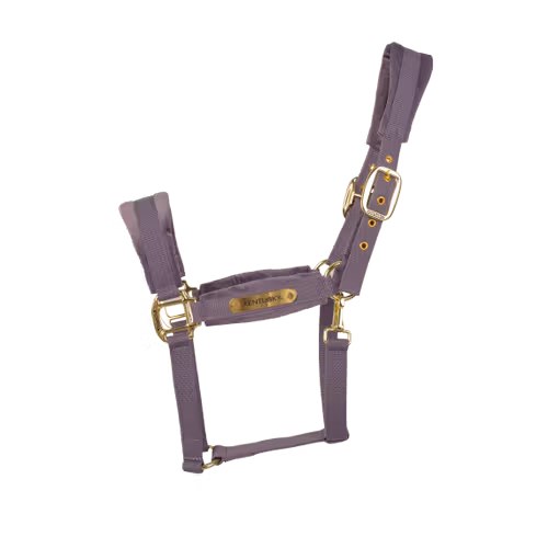 Недоуздок Velvet purple от Kentucky Horsewear
