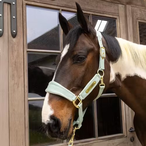 Недоуздок Velvet Mint от Kentucky Horsewear