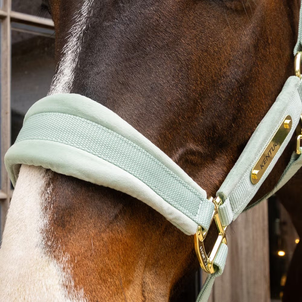 Недоуздок Velvet Mint от Kentucky Horsewear