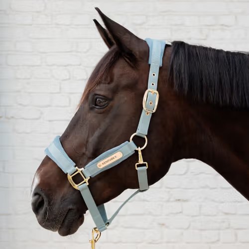 Недоуздок Velvet light blue от Kentucky Horsewear