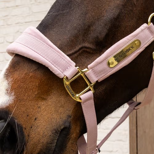 Недоуздок Velvet soft rose от Kentucky Horsewear
