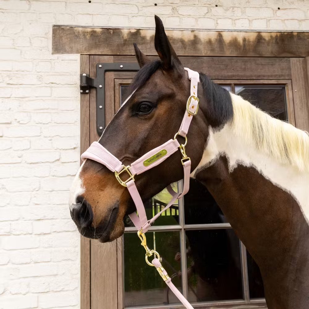 Недоуздок Velvet soft rose от Kentucky Horsewear