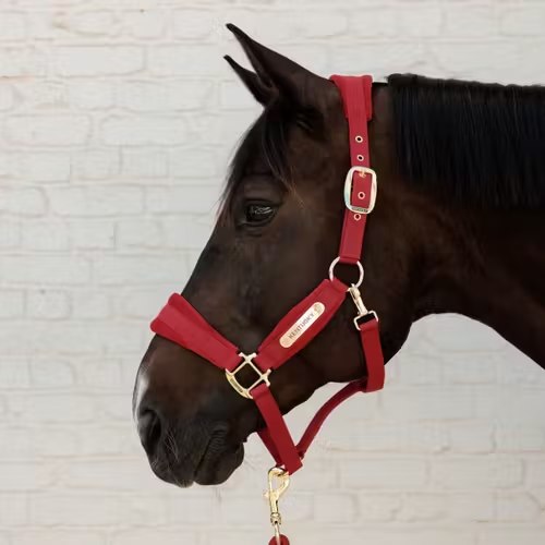 Недоуздок Velvet red от Kentucky Horsewear